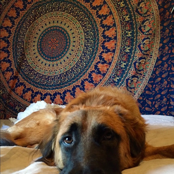 Urban Outfitters Tapestry - Picture 2 of 4